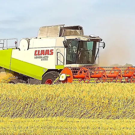 Bauernhof Hoeper-rauert - Reihenhaus 2 * Neujellingsdorf